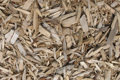 biomass boilers Muchlarnick